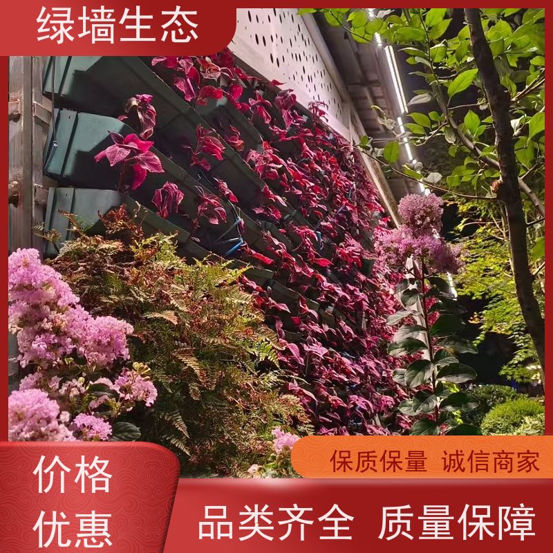 绿墙生态 植物墙 会所包间私密空间隔断立.体装饰墙面