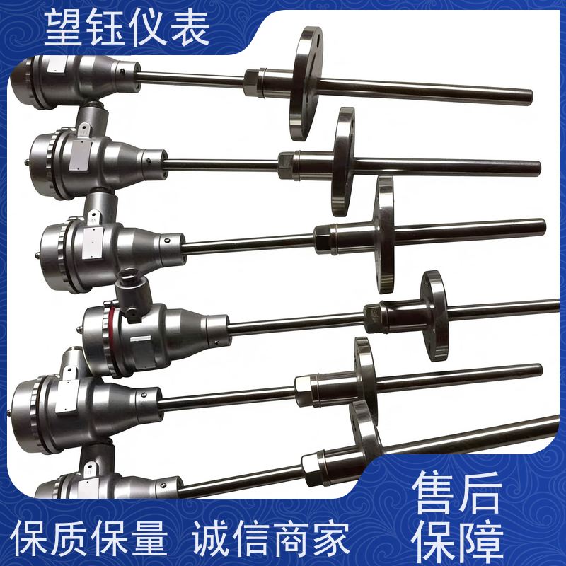 望钰 耐磨耐腐蚀 WRP铂铑热电偶 化工反应釜 厂家供应