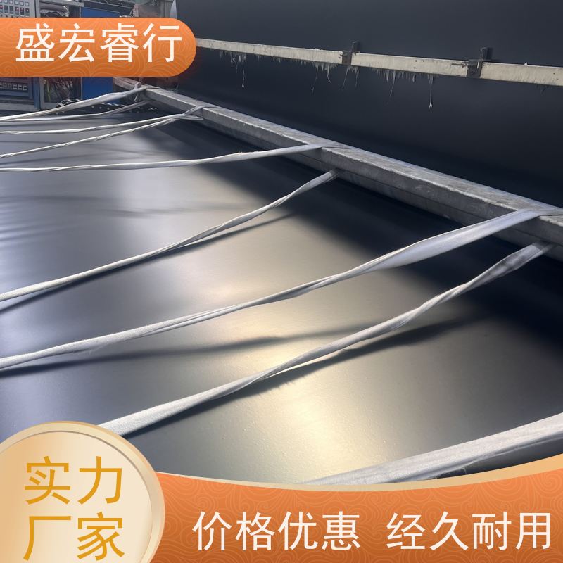 盛宏睿行 聚乙烯塑料薄膜 工程用膜 各种规格厚度定制加工 土工膜