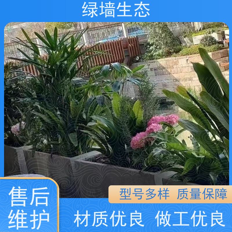 绿墙生态 飘窗小型微 迷你苔藓多肉组合摆件 室内园林景观