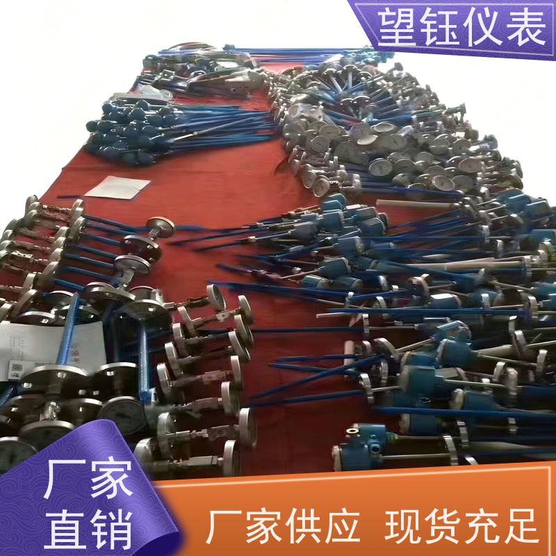 望钰 精度高 WREB型热电偶 化工反应釜 生产厂家