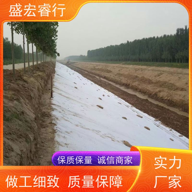 盛宏睿行 PET土工布  边坡防护 山体护坡固土无纺布 公路养护