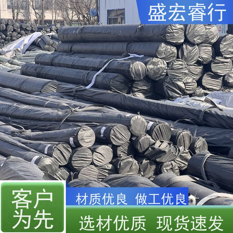 盛宏睿行 聚乙烯塑料薄膜 长丝复合膜 公路基防.渗膜 土工膜