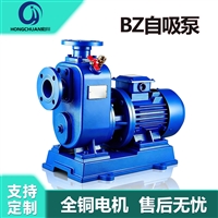 BZ直连式自吸泵 工业清水输送 结构紧凑安装便捷