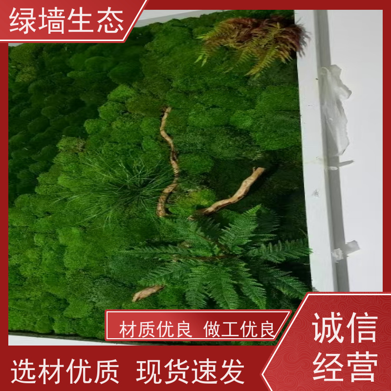 绿墙生态 哑光质感展厅展馆素雅墙面装饰植被 苔藓板