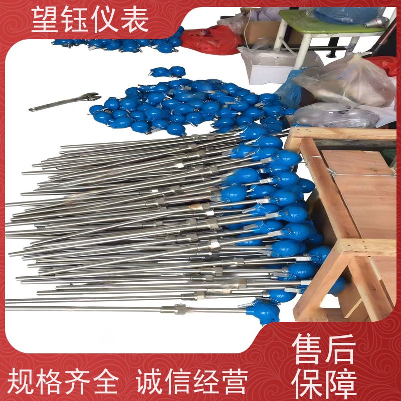 望钰 精度高 Pt100铂铑热电偶 食品制药 厂家供应