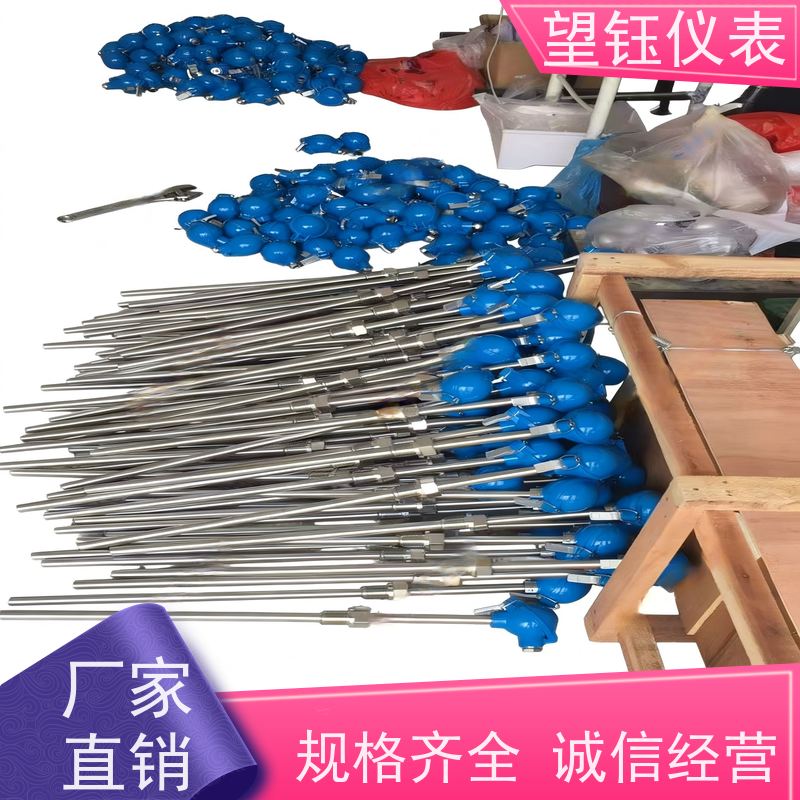 望钰 耐磨耐腐蚀 WRQJ型热电偶 化工反应釜 厂家供应