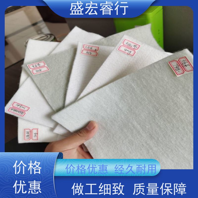 盛宏睿行 土工布  防水 地下室防潮防渗无纺布 过滤布