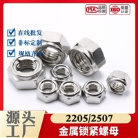 321/2507/2205尼龙锁紧螺母 双相不锈钢防松螺母 自锁螺母 六角螺帽