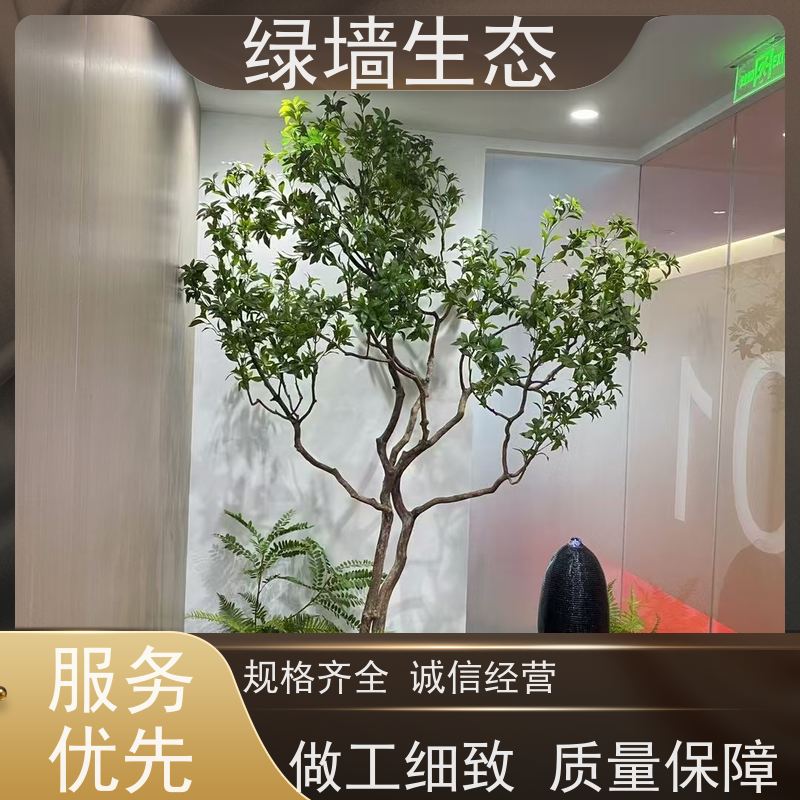 绿墙生态 共享办公区 矮生观叶植物隔断 景观绿化
