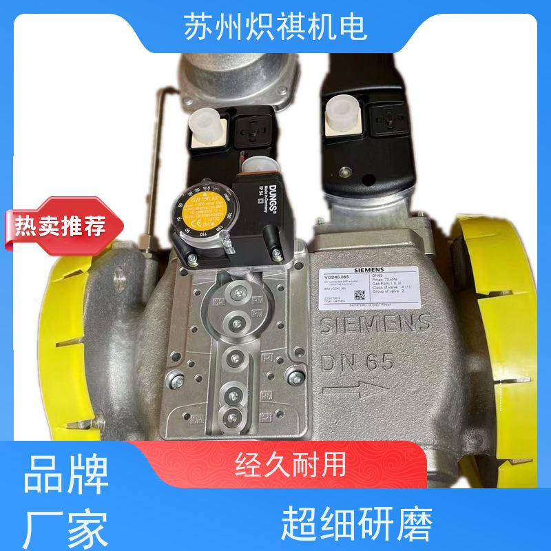 西门子SIEMENS 燃烧机燃气阀 VGD20.503 百得专用