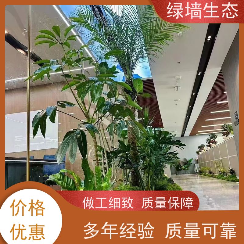 绿墙生态 造型松景松苗木庭院别墅小区绿.化乔木 室内景观造景