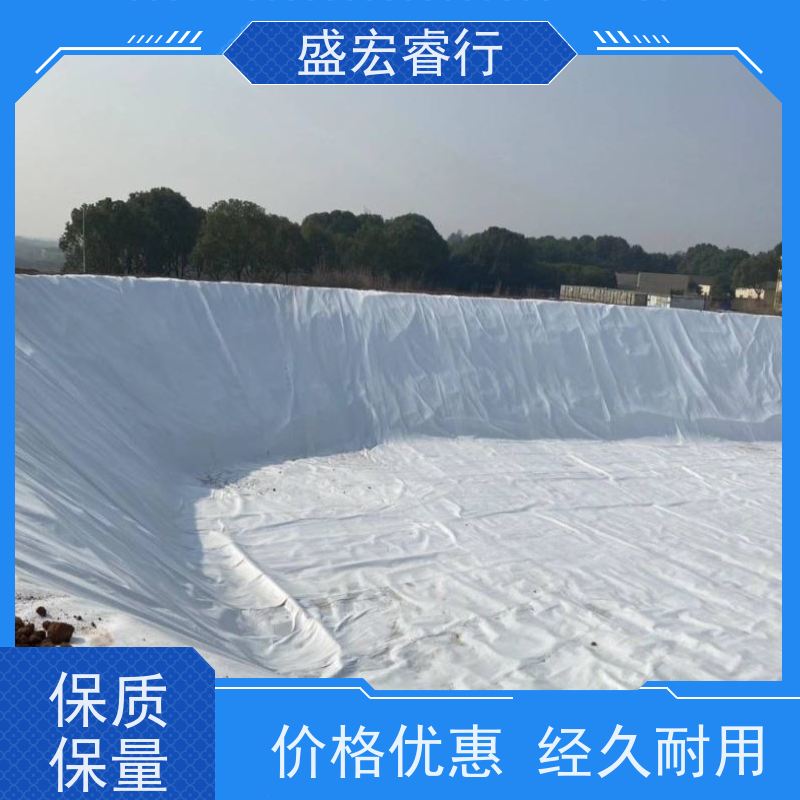 盛宏睿行 PET土工布  针刺无纺 路面保湿养护工程布定制