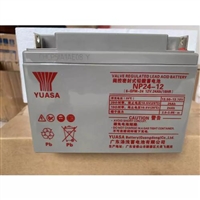 YUASA汤浅NPW45-1212V45AH船舶/铁路专用