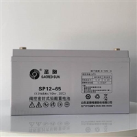 YUASA汤浅NP150-1212V150AH通信基站/储能电站