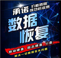 东莞全域硬盘U盘服务器数据恢复服务支持开盘镜像修复