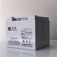 EPS蓄电池12V24AH阀控式密封铅酸电池