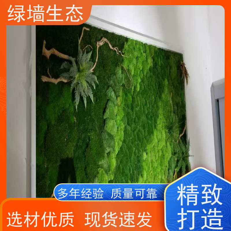 绿墙生态 耐潮材质地下室阴暗空间墙面装饰材 仿真苔藓