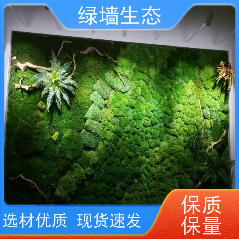 绿墙生态 耐潮材质地下室阴暗空间墙面装饰材 永生大灰藓