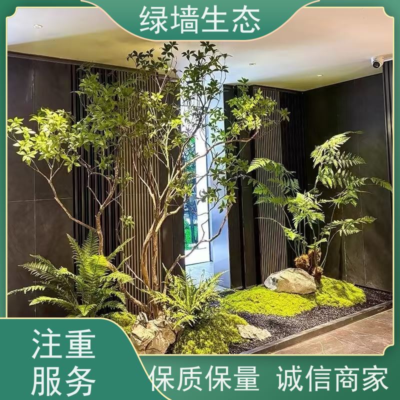 绿墙生态 造型松景松苗木庭院别墅小区绿.化乔木 室内景观