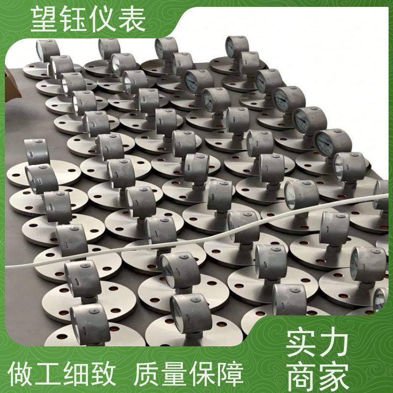 望钰  YN-150 磁助式电接点压力表  水处理  生产工艺