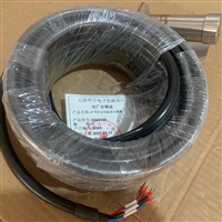 天津华宁GWH100矿用本安型温度传感器