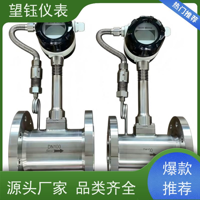 望钰仪表DN100分体式涡街流量计  锅炉蒸汽计量  无阻流畅监测