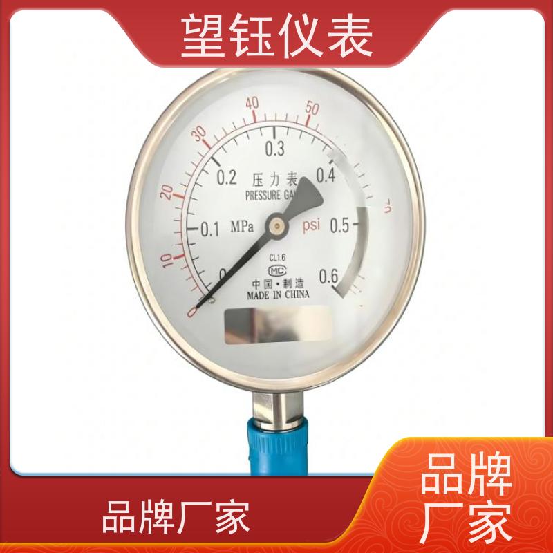 望钰  YX-100 耐酸碱压力表  数显指针可选  规格齐全