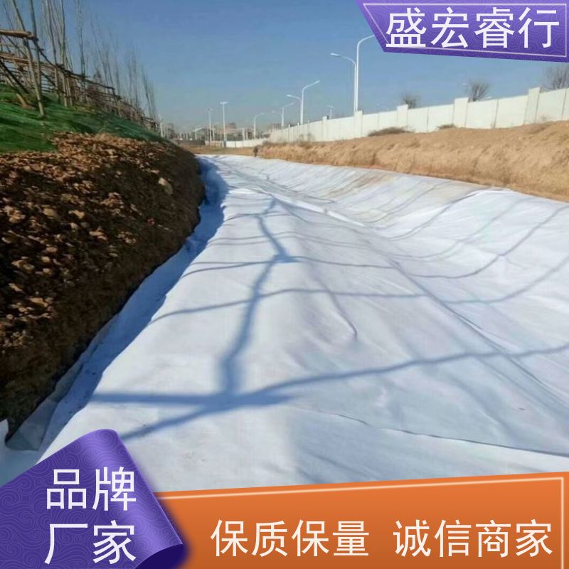 盛宏睿行 PET土工布  加工定做 透水反滤防渗多功能