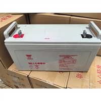 EPS蓄电池12V250AH免维护密封铅酸电池