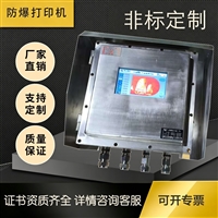 达安防爆 户外带雨棚 防爆电脑一体机 显示器 配电箱