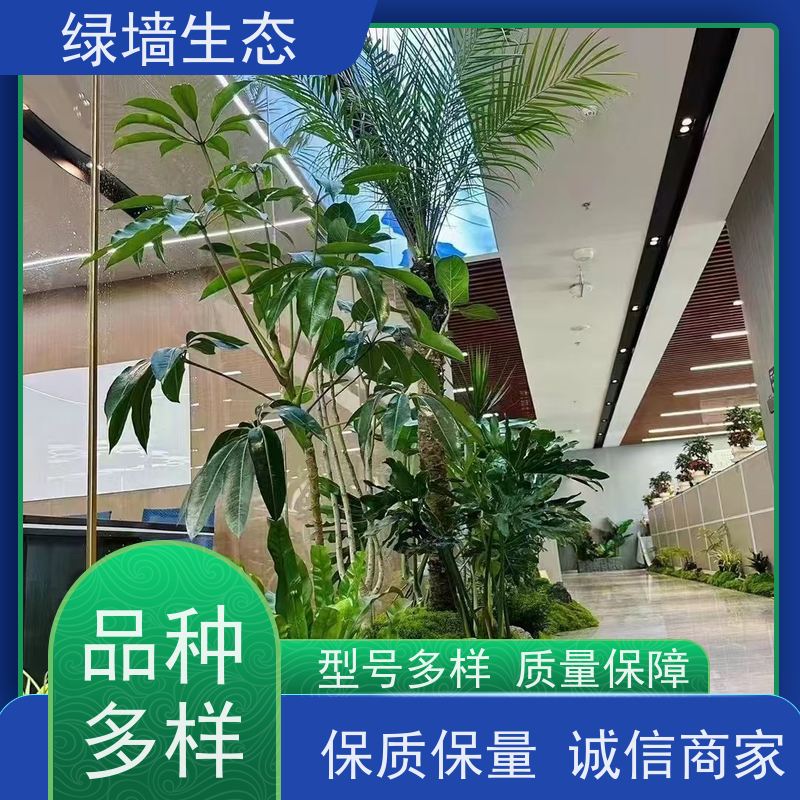 绿墙生态 飘窗小型微 迷你苔藓多肉组合摆件 园林绿化