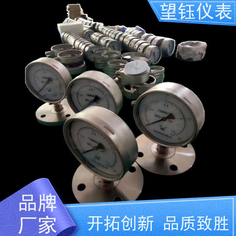 望钰  YN-150 充油耐震压力表  机械制造  快捷发货