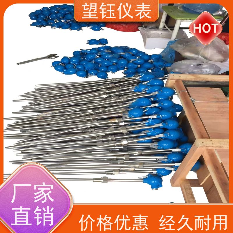 望钰 可定制 WRPE型热电偶 化工反应釜 生产厂家