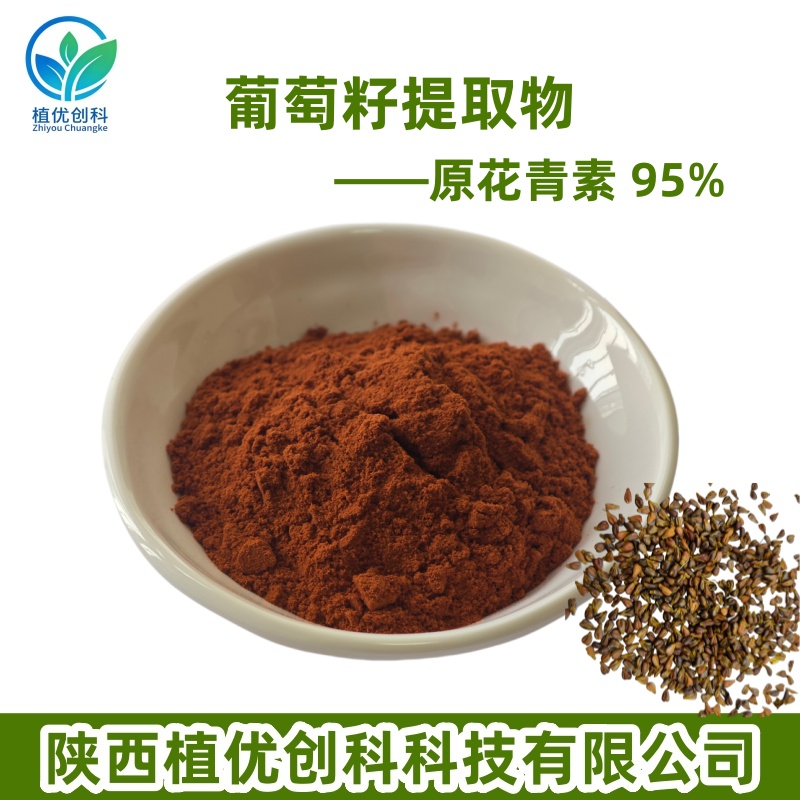 葡萄籽提取物 原花青素 95% 陕西植优创科