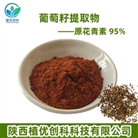 葡萄籽提取物 原花青素 95% 陕西植优创科