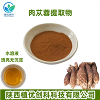 管花肉苁蓉提取物 松果菊苷 毛蕊花糖苷 陕西植优创科