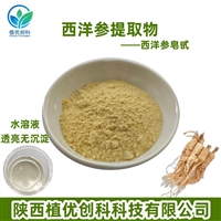 西洋参提取物 西洋参皂甙 陕西植优创科