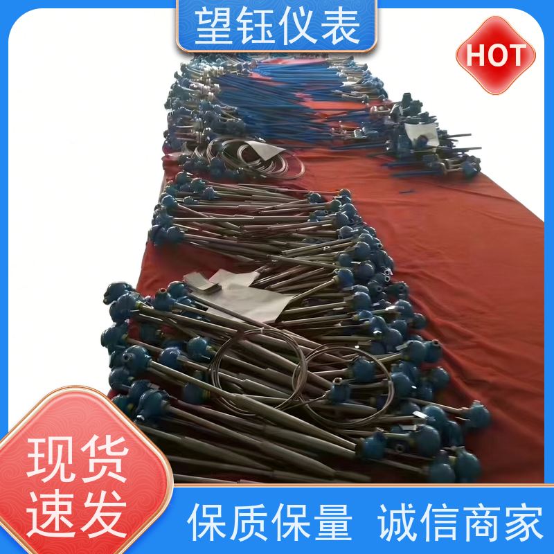 望钰 耐磨耐腐蚀 Pt1000T型热电偶 电力电厂 生产厂家
