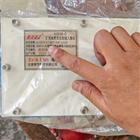 天津华宁KJS101-C矿用本质安全型输入输出