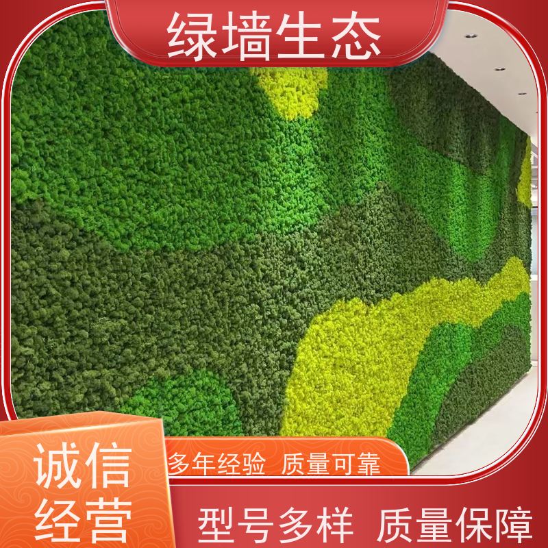 绿墙生态 耐潮材质地下室阴暗空间墙面装饰材 苔藓缸