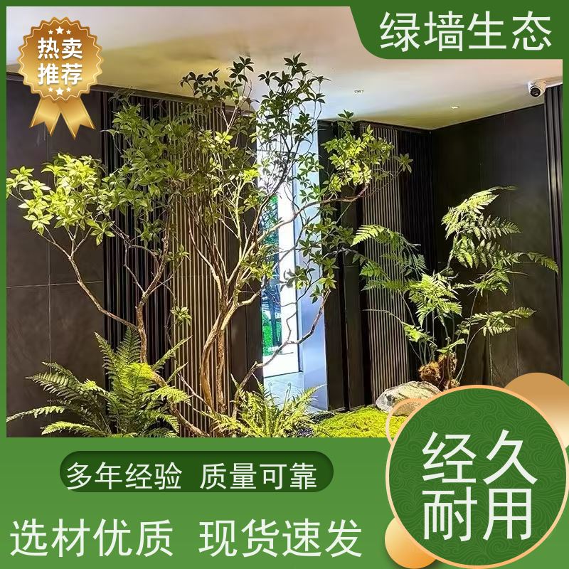 绿墙生态 共享办公区 矮生观叶植物隔断 室内微景观