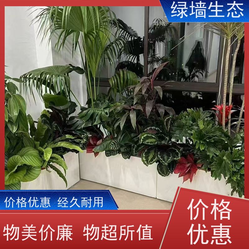 绿墙生态 飘窗小型微 迷你苔藓多肉组合摆件 园林景观