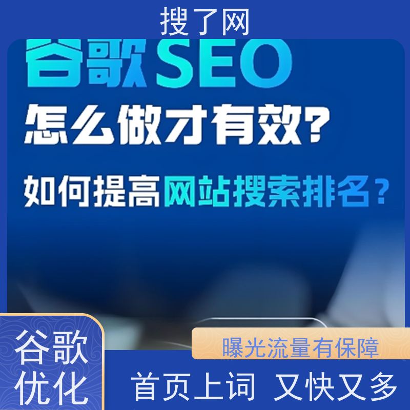 手机/电脑两端自适应  谷歌SEO方案 小组多对一精心服务