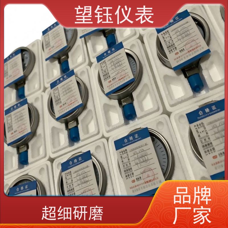 望钰  Y-100Z 卡箍快装压力表  石油钻井  规格齐全