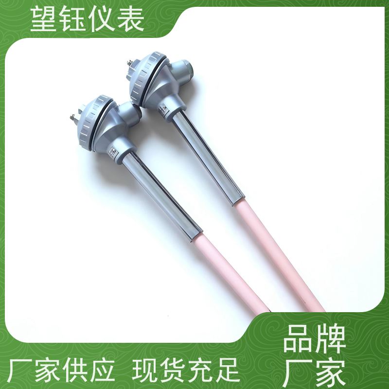 望钰 耐磨耐腐蚀 Pt100E型热电偶 暖通空调 生产厂家