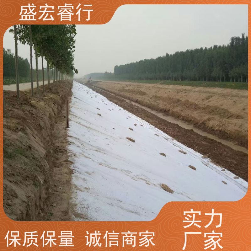 盛宏睿行 涤纶土工布  黑色 工程施工隔离加固防尘布