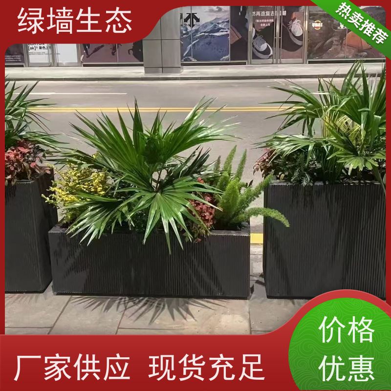 绿墙生态 仓储园区绿/化 易养护原生灌木组合 室内小型景观