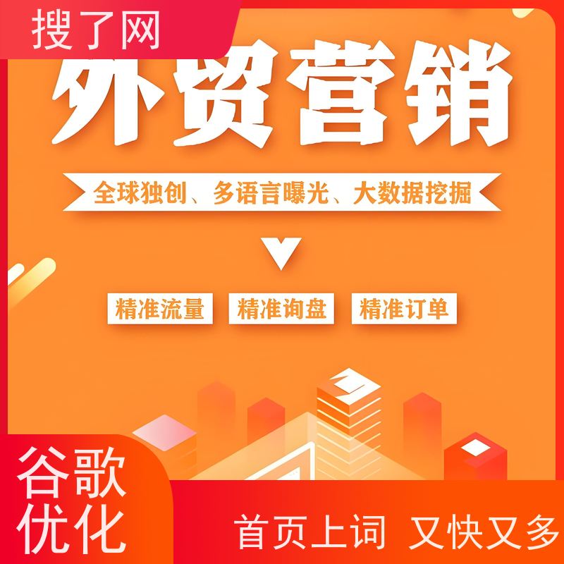 外贸网站建设  谷歌排名提升 小组多对一精心服务