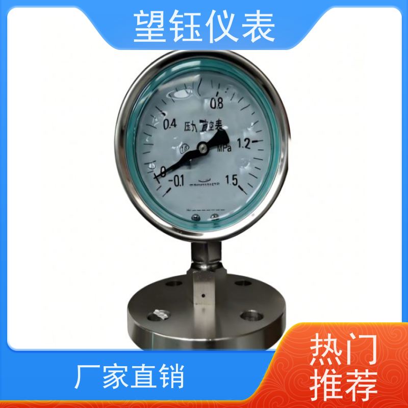 望钰  Y-60ZT 充油耐震压力表  锅炉  支持配送到厂